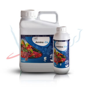 آمینو کلسیم