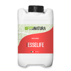 ایسی لایف (Esselife)