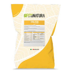 اولوشن 20 20 20 (EVOLUTION 20 20 20)