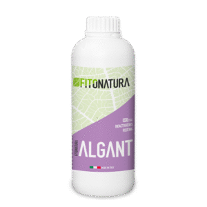 آلگانت (Fitonatura-Algant)