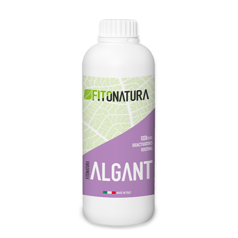 Fitonatura-Algant_1000x1000 آلگانت (Fitonatura-Algant)