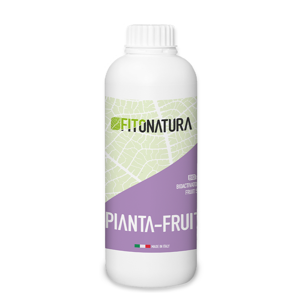Fitonatura-Pianta-Fruit_1000x1000 پیانتا فروت (Fitonatura-Pianta-Fruit)