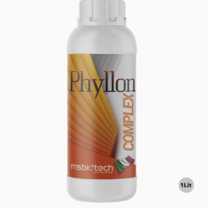 کود فیلون کمپلکس (Phyllon Complex)