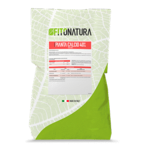 پیانتا کلسیو (Pianta-Calcio-40)