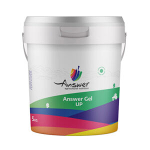 انسر ژل اوره فسفات (UP)