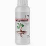 کود Vigoroot