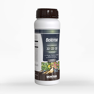 کود بالانسا