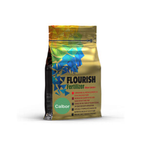 کلبر جامد فلوریش آلترا