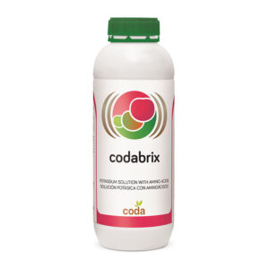 کدابریکس (Codabrix)