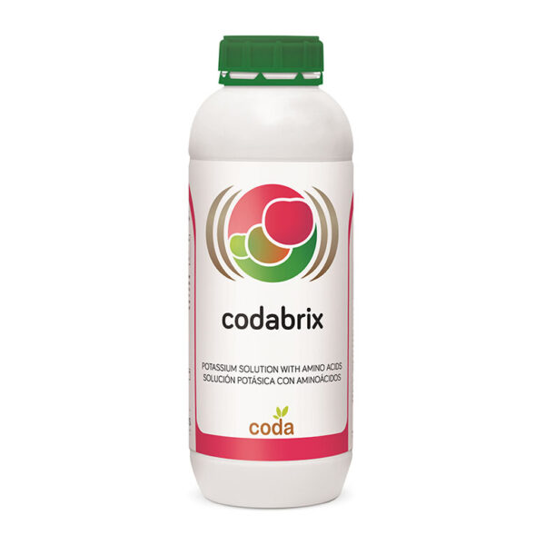 codabrix کدابریکس (Codabrix)