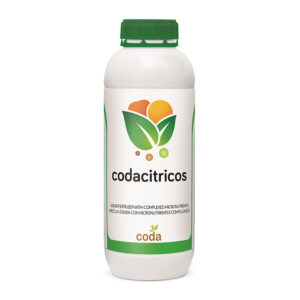 کداسیتروس (Coda Citrus)