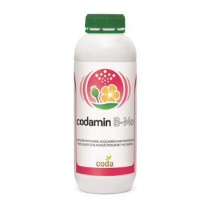 کدامین بر مولیبدن (Codamin-B-Mo)