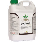 کداسال پریمیوم