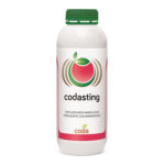 کود کدا استینگ (Codasting)