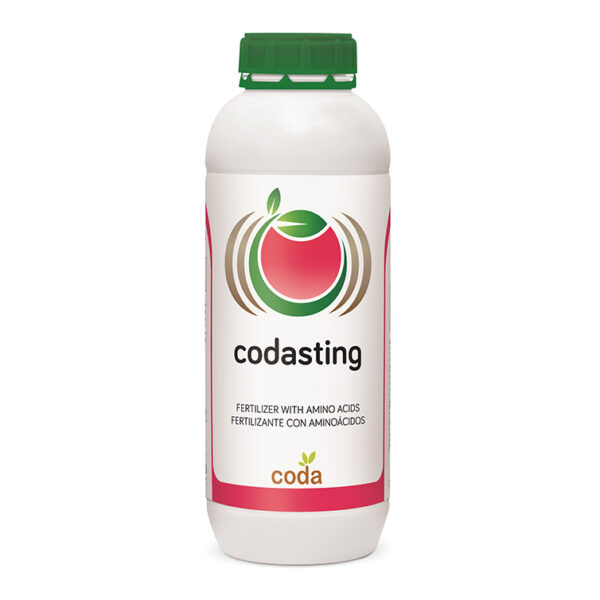 codasting کود کدا استینگ (Codasting)