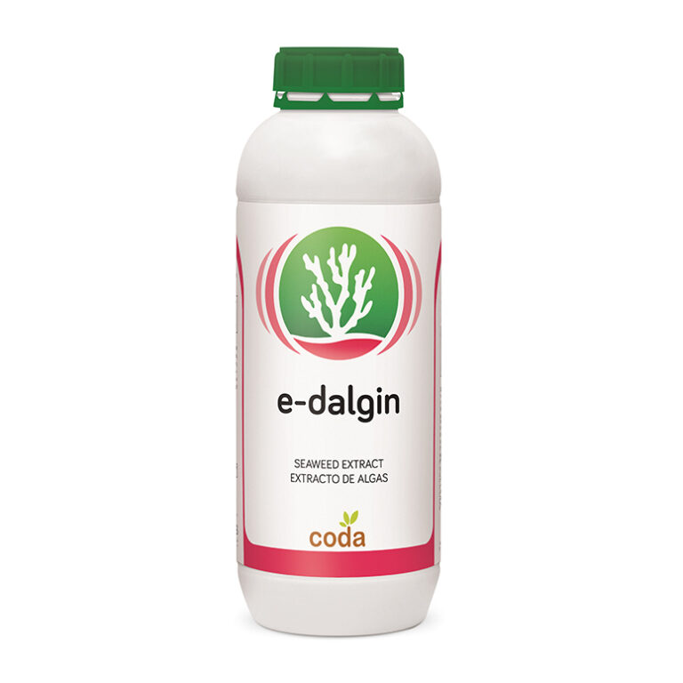 کود ای دالجین (E Dalgin)