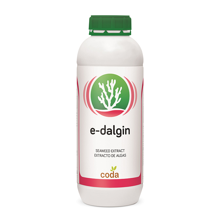 e-dalgin کود ای دالجین (E Dalgin)