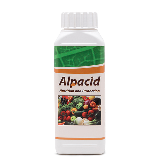 iftc-alpacid آلپاسید (Alpacid)