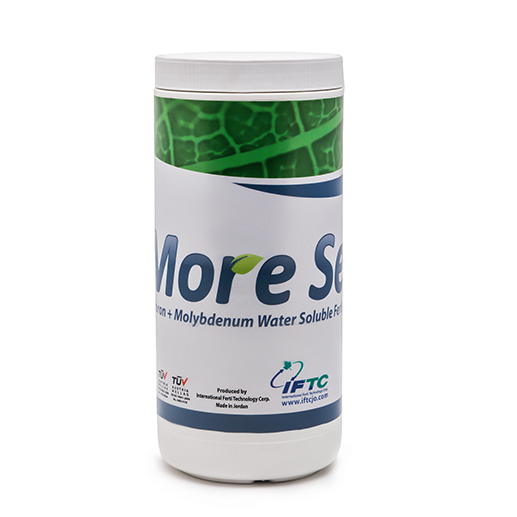 iftc-moreset مورست (More Set)