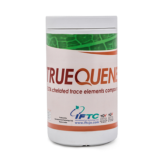 iftc-truequene کود تروکوئن (True quene)