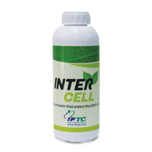 اینتر سل (Intercell)