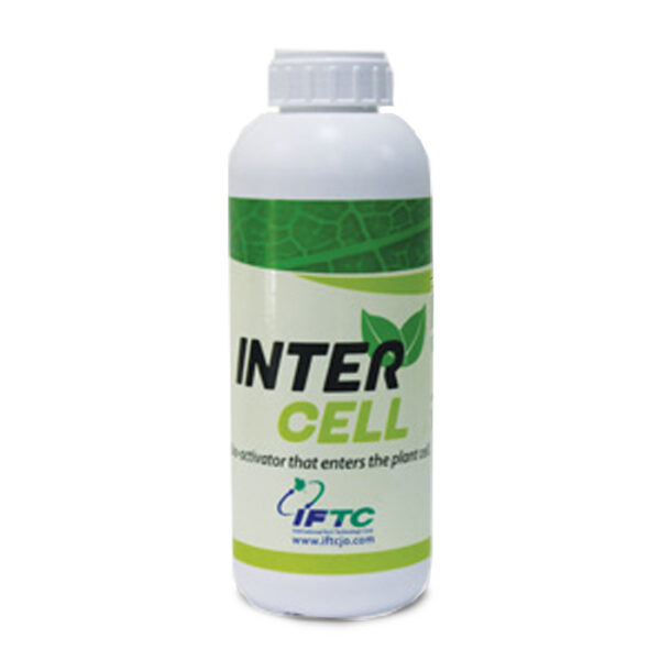 intercell اینتر سل (Intercell)