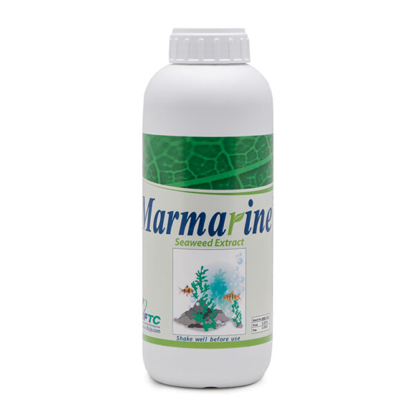 marmarine مارمارین (Marmarin)