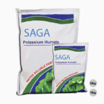 کود ساگا (SAGA)