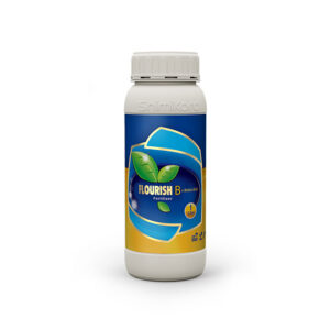 بُر غنی شده با اسید آمینه