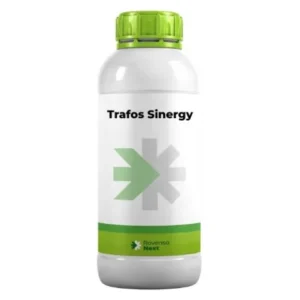 کوود ترافوس سینرژی