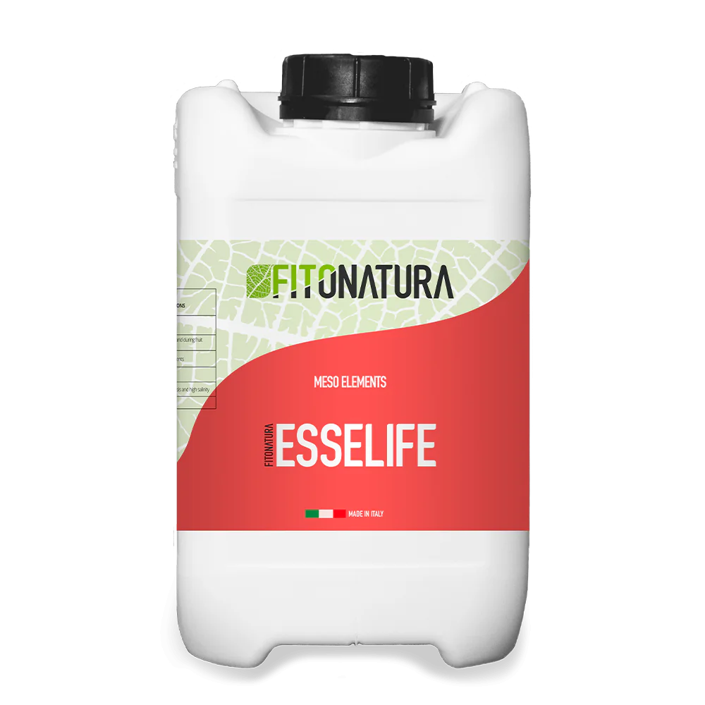 Esselife_1000x1000 ایسی لایف (Esselife)
