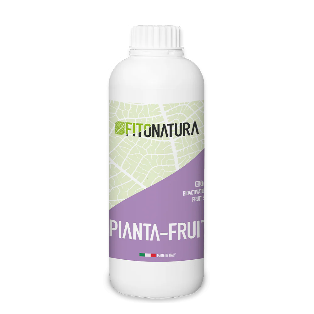 Fitonatura-Pianta-Fruit_1000x1000 پیانتا فروت (Fitonatura-Pianta-Fruit)