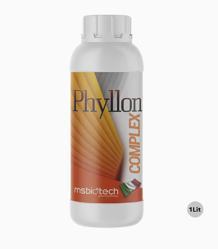Phyllon-Complex کود فیلون کمپلکس (Phyllon Complex)