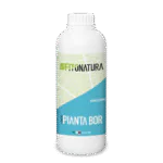 پیانتا بور (Pianta-Bor)