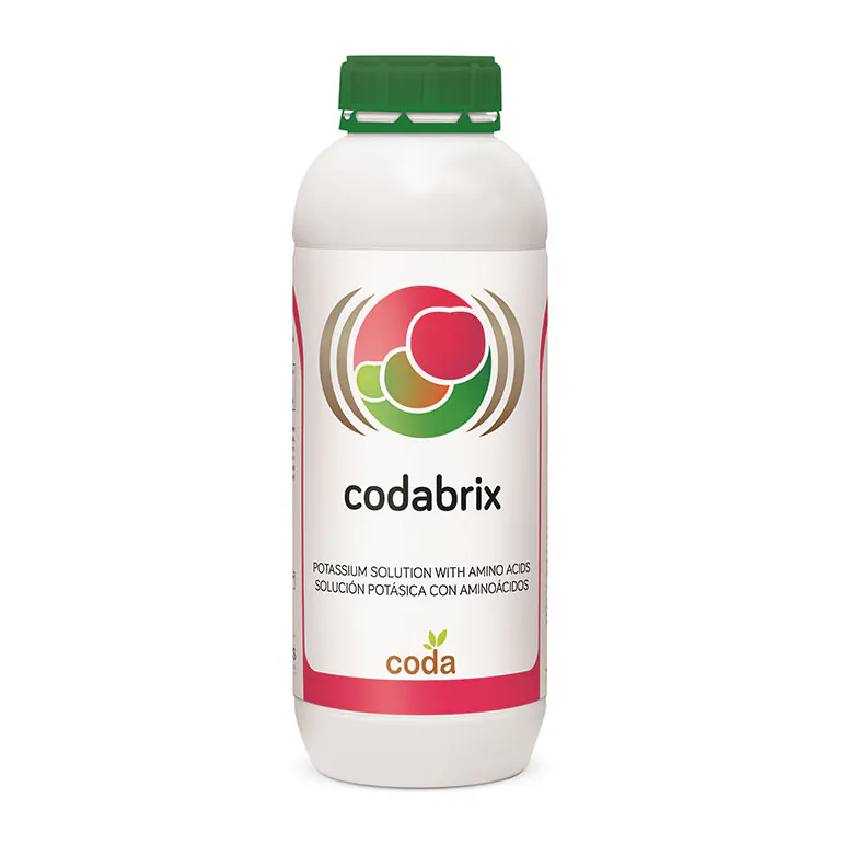 codabrix کدابریکس (Codabrix)