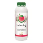 کود کدا استینگ (Codasting)