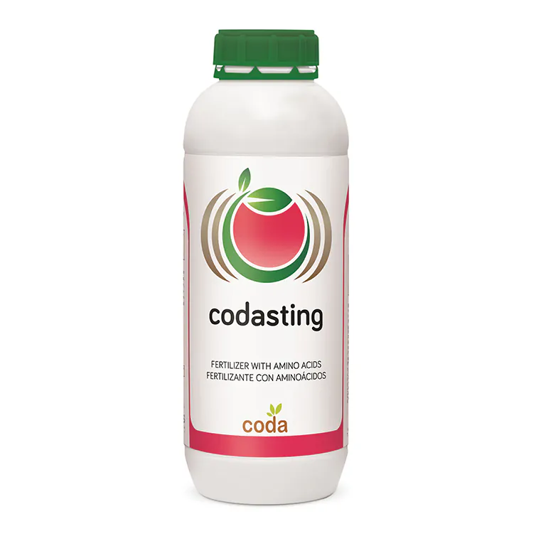 codasting کود کدا استینگ (Codasting)