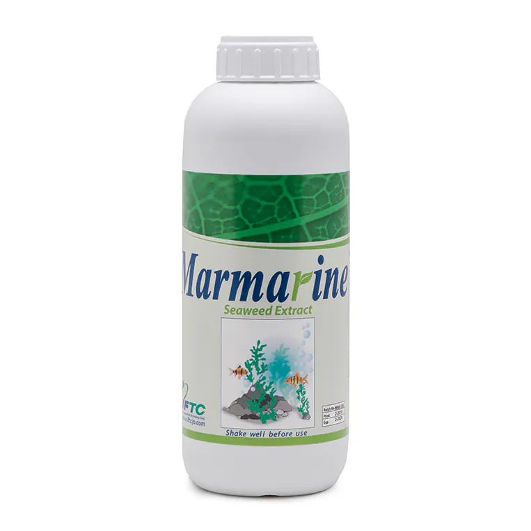 مارمارین (Marmarin)