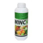 وینچ (Winch)
