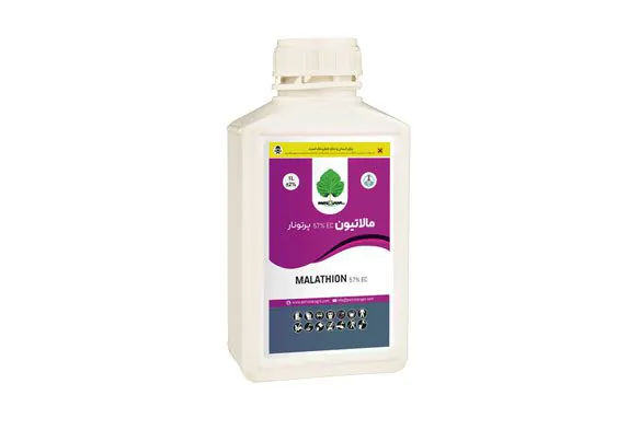 p024-563x393 CHLORPYRIFOS 408% EC کلرپیریفوس