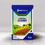 فروت ست یک کیلویی سولدنسو