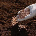 خرید کودهای اصلاح کننده خاک